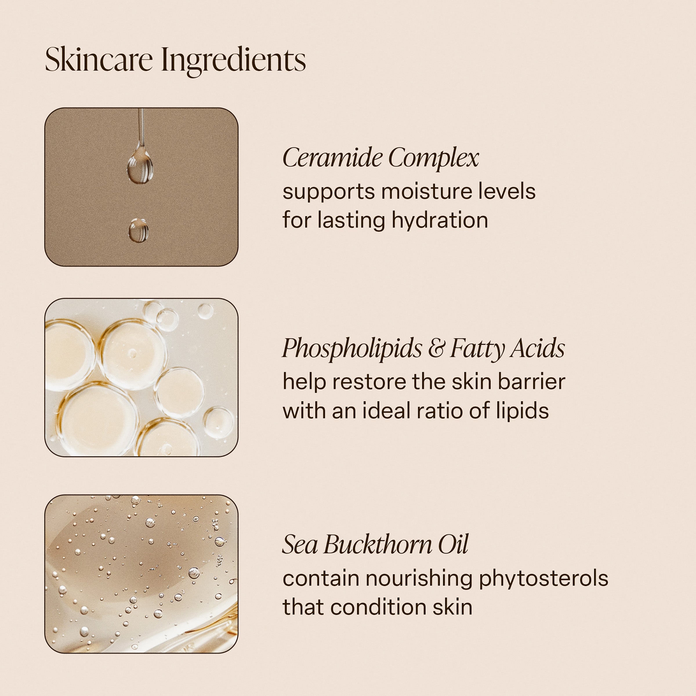 Pink Beach - Body Butter