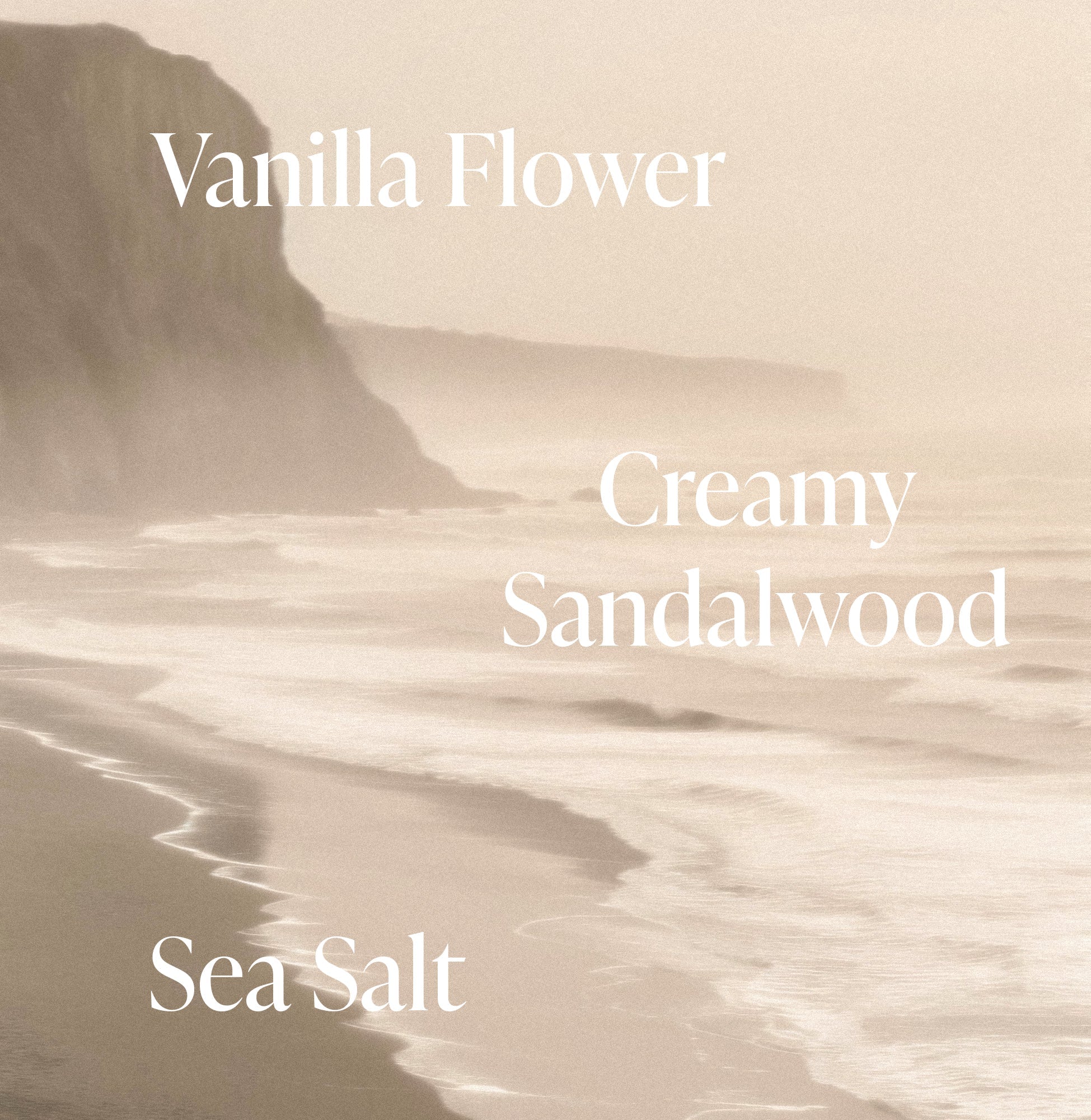 Salt Water Vanilla - Body Butter