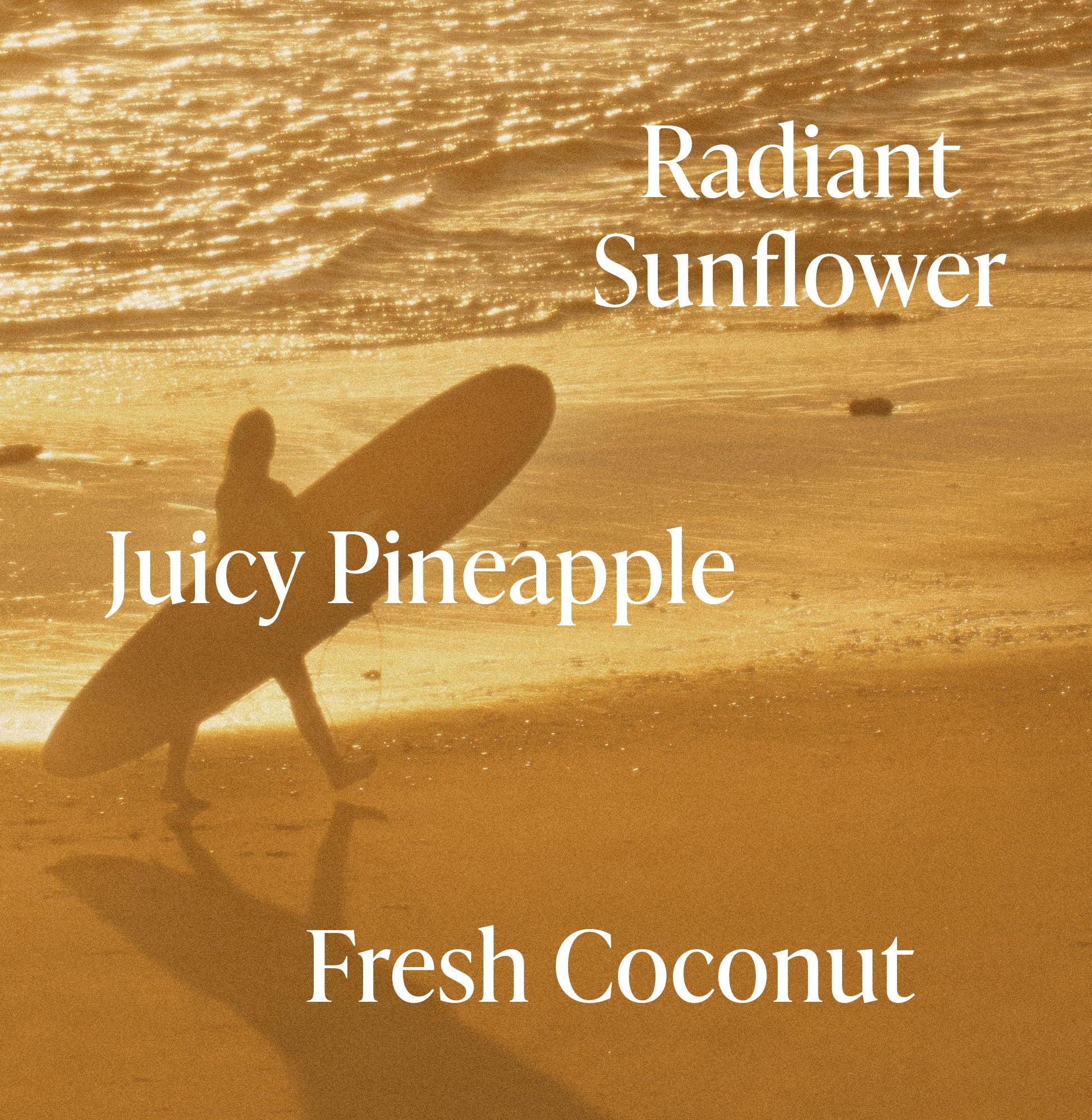 Golden Hour - Body Oil
